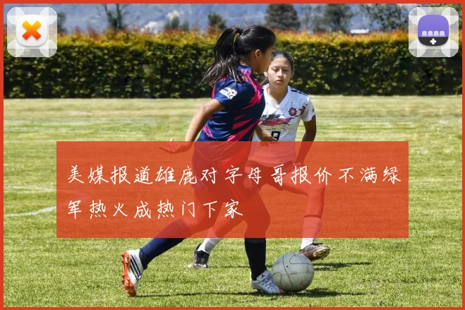 美媒报道雄鹿对字母哥报价不满绿军热火成热门下家